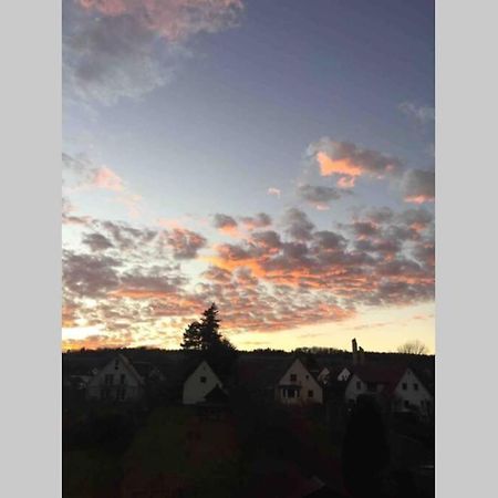 Helle 2-Zimmerwohnung Am Stadtrand ヒルデスハイム エクステリア 写真
